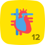 Level 12 in Anatomy & Physiology