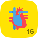 Level 16 in Anatomy & Physiology