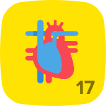 Level 17 in Anatomy & Physiology