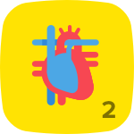 Level 2 in Anatomy & Physiology