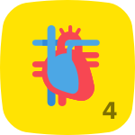 Level 4 in Anatomy & Physiology