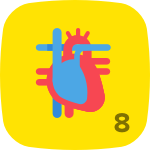 Level 8 in Anatomy & Physiology